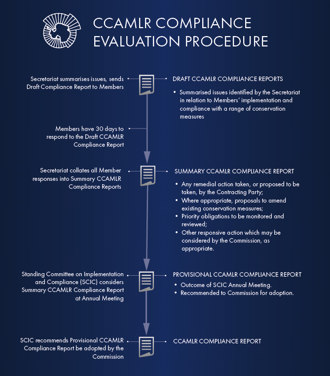 CCEP annual process flowchart